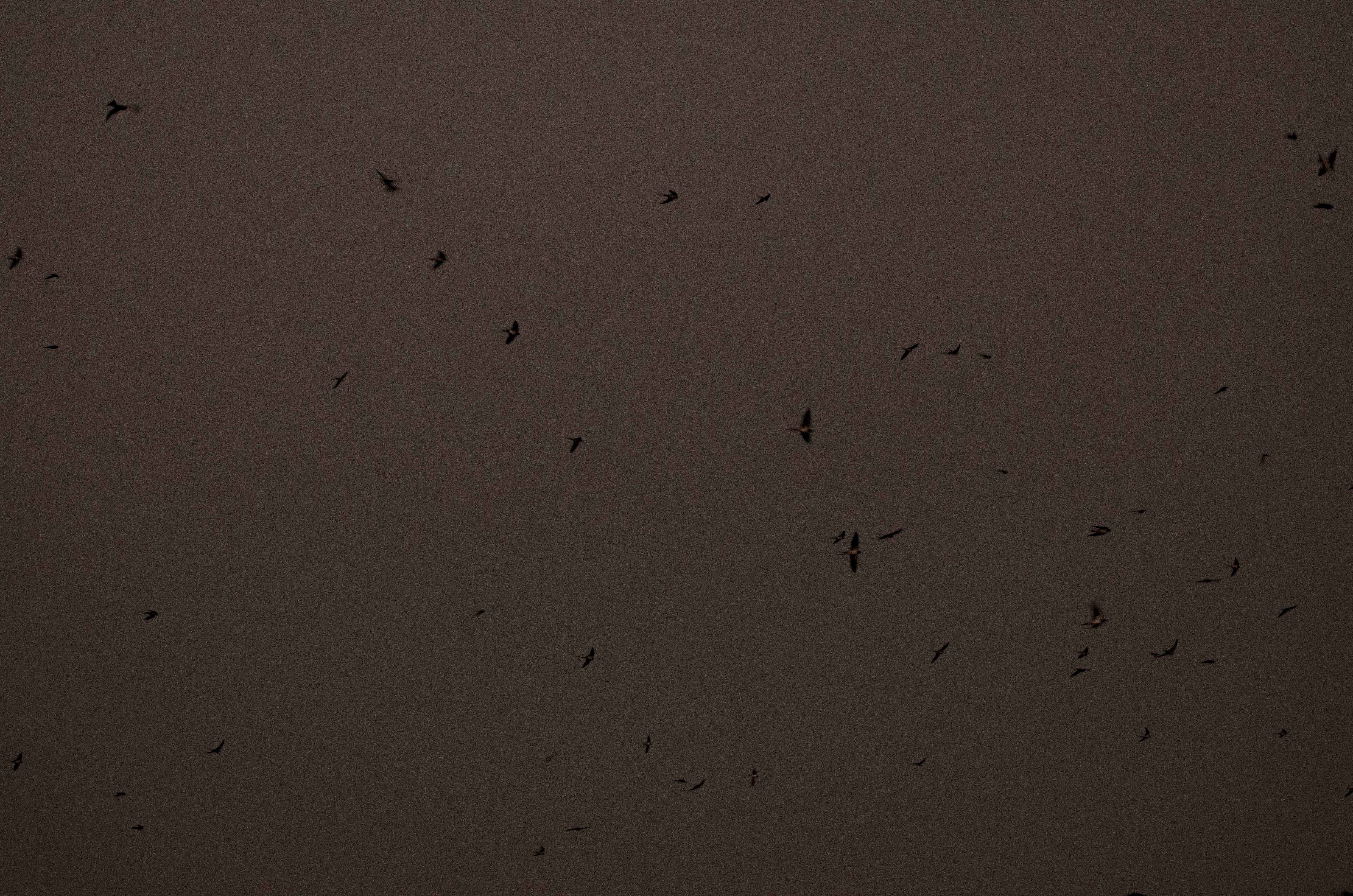 Photo by viktortalashuk