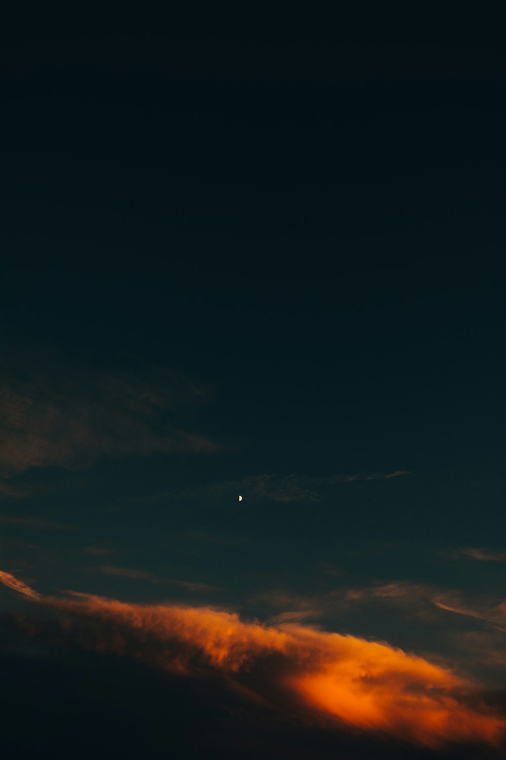 silhouette of trees during sunset