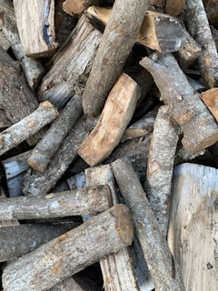 A collection of various types of fuel wood logs.