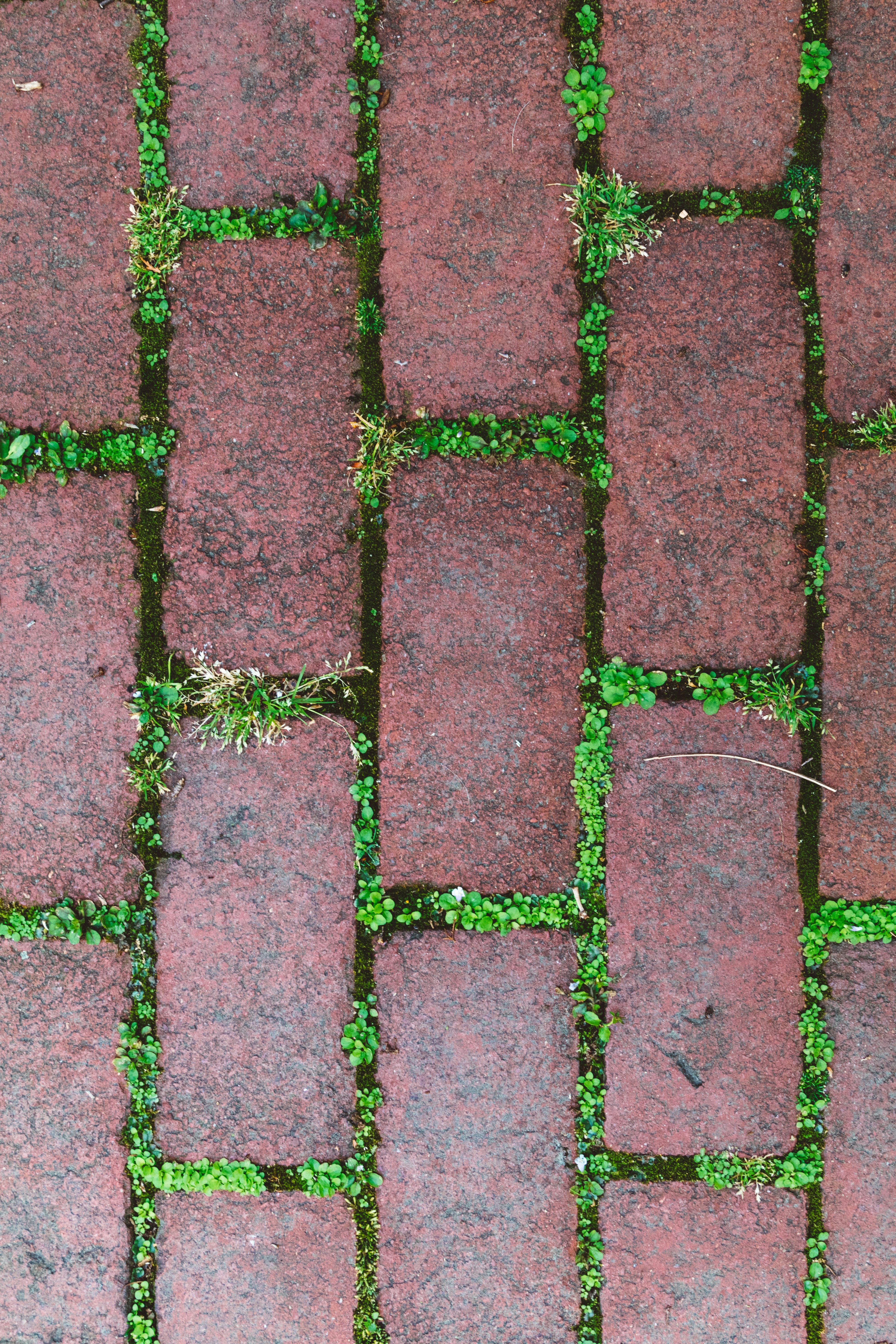 red and gray brick pavement
