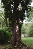 Elegant garden party lighting featuring string lights and vintage lanterns casting a warm glow.
