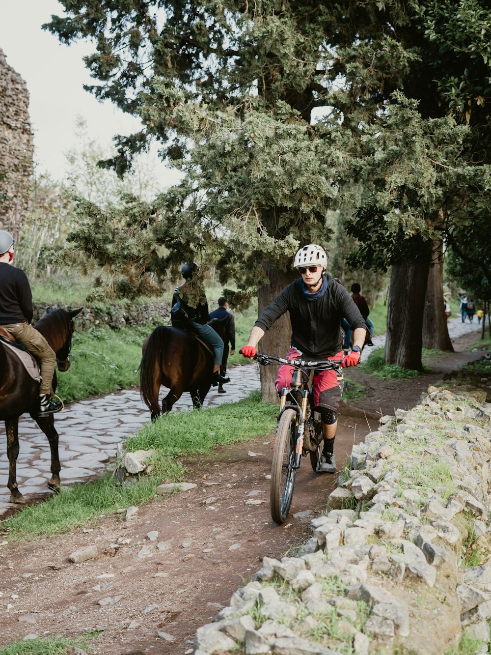 personnes faisant du vélo sur la route pendant la journée