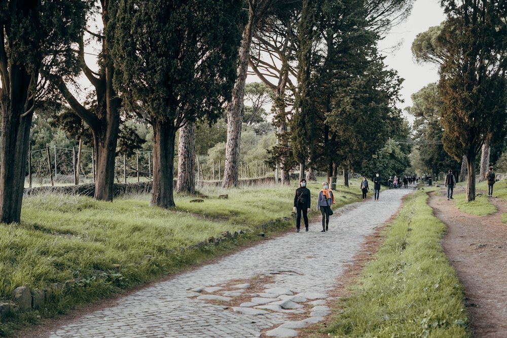 persone che camminano sul sentiero tra gli alberi durante il giorno