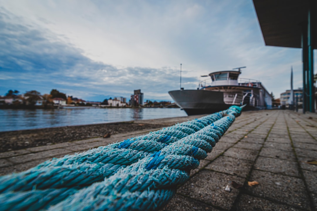 blue and white rope on brown wooden dock during daytime