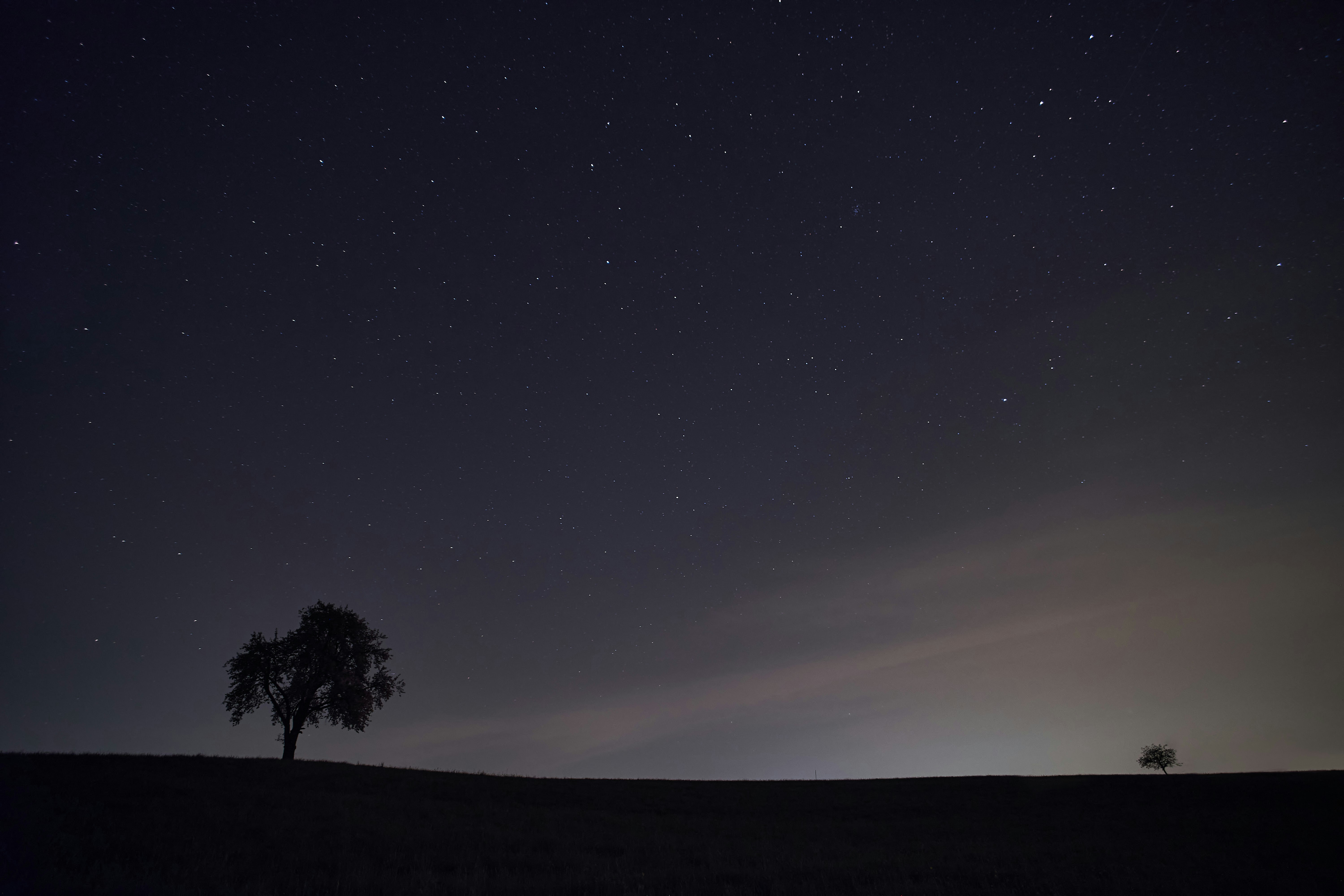 Photo by wolfgang_hasselmann