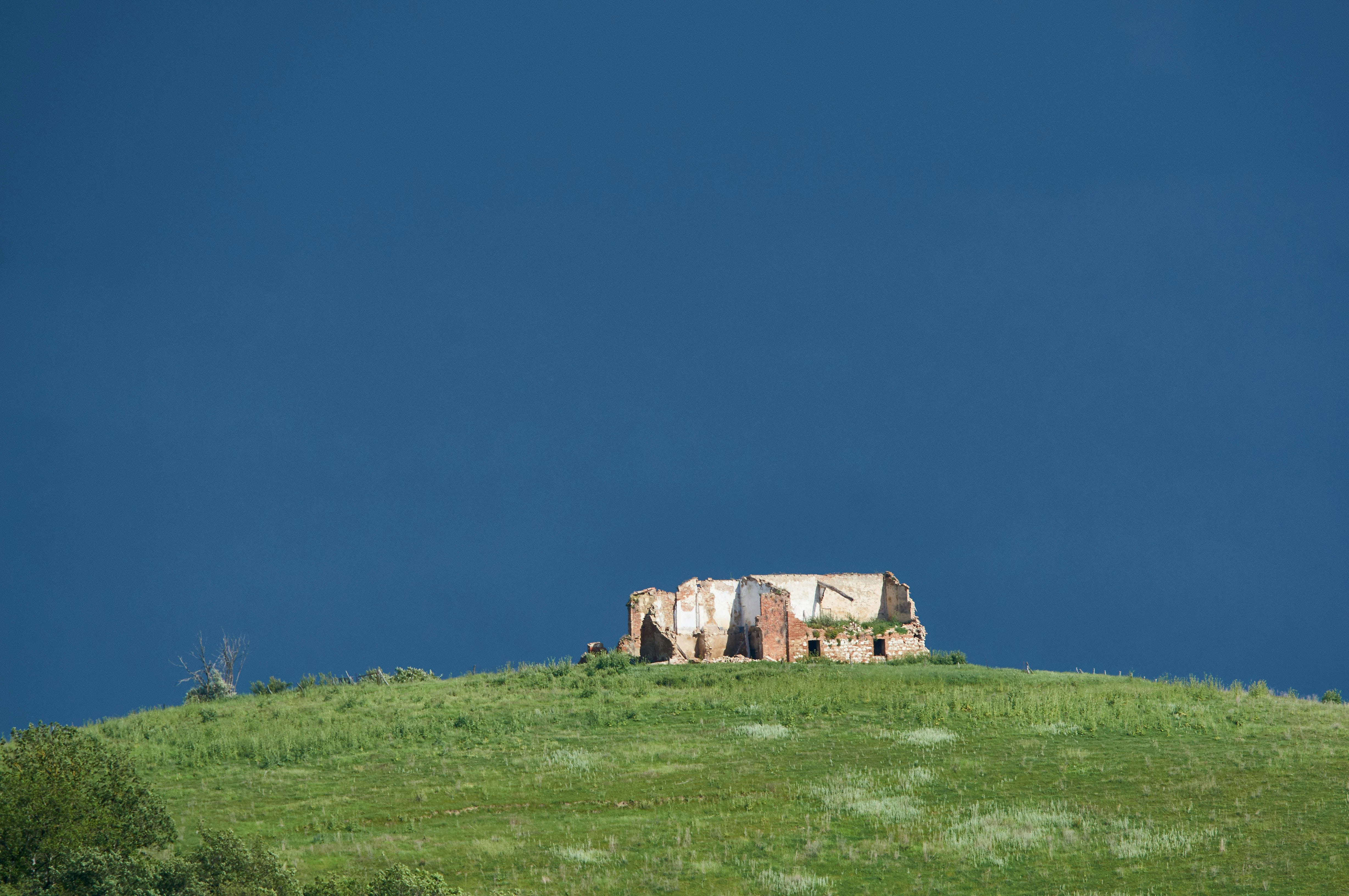 Photo by wolfgang_hasselmann