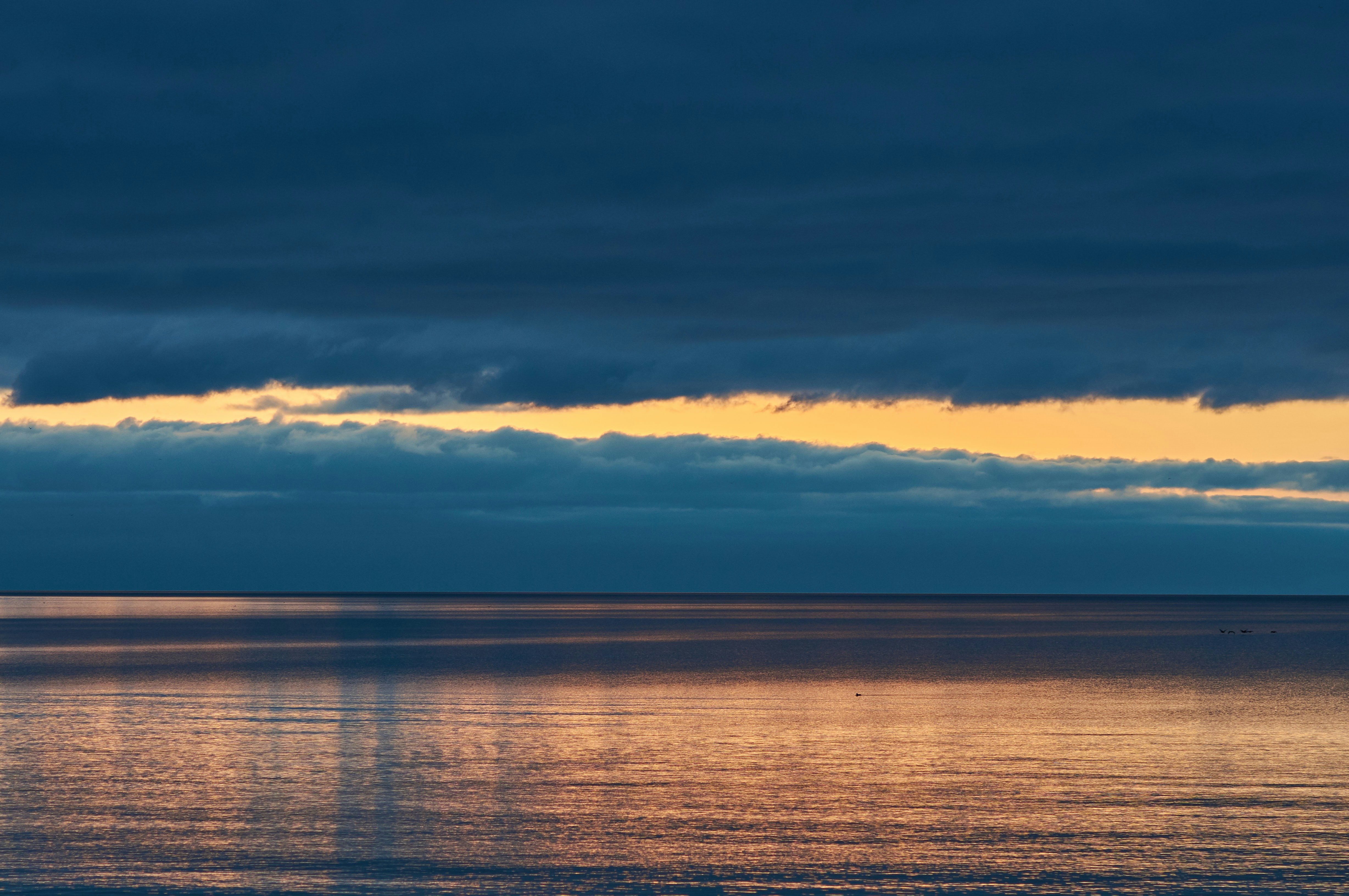 Photo by wolfgang_hasselmann