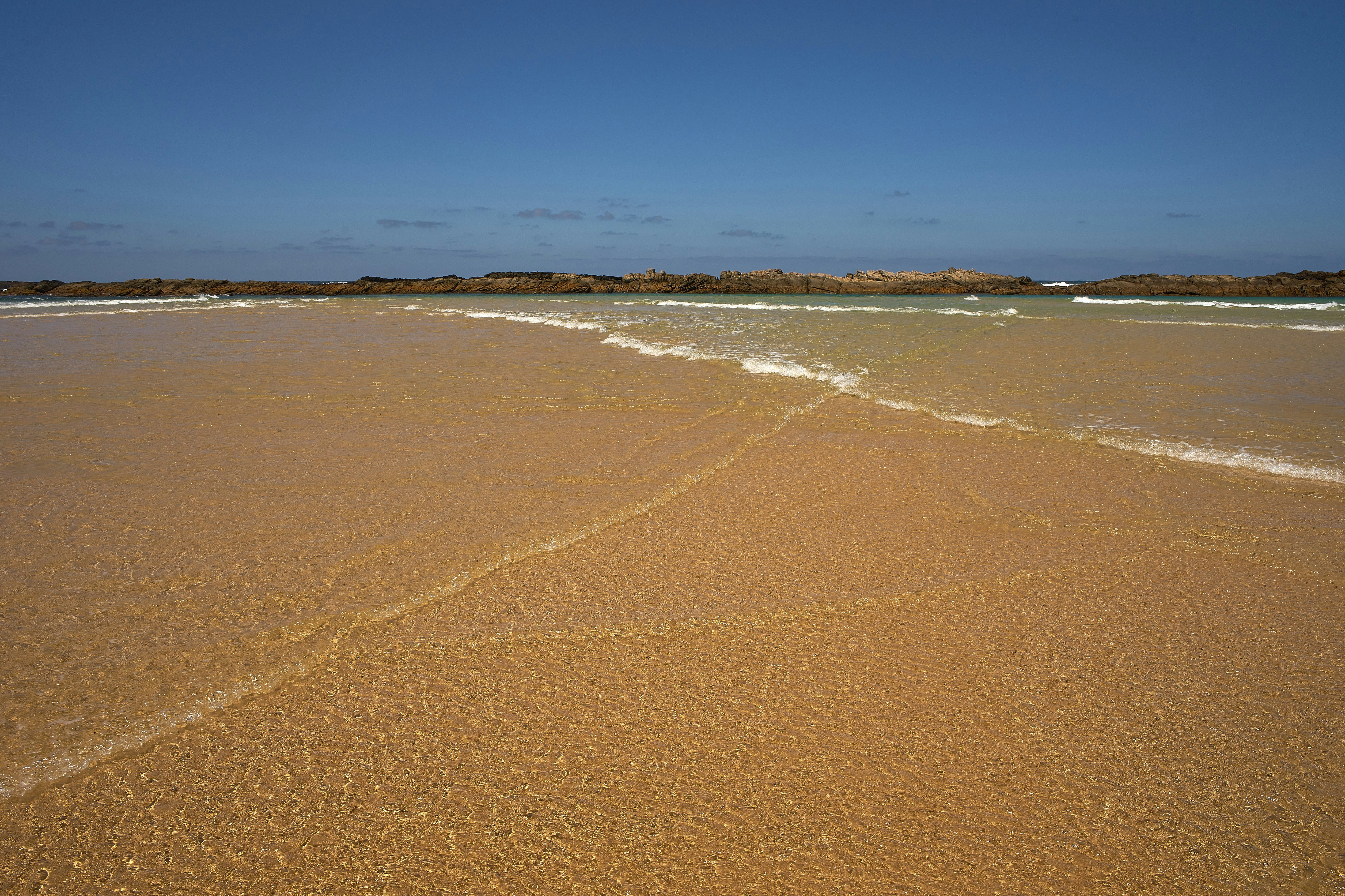 Photo by wolfgang_hasselmann