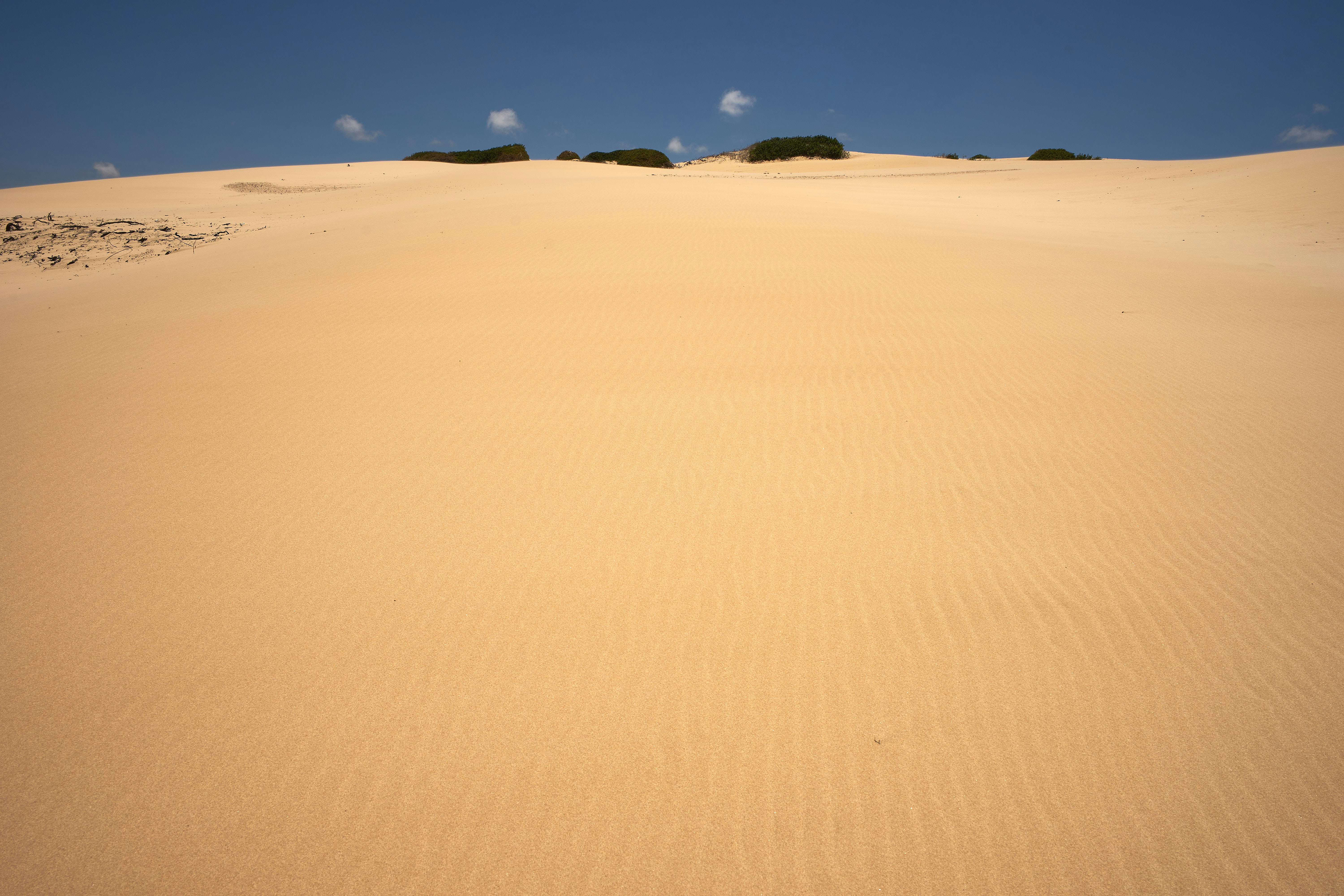 Photo by wolfgang_hasselmann