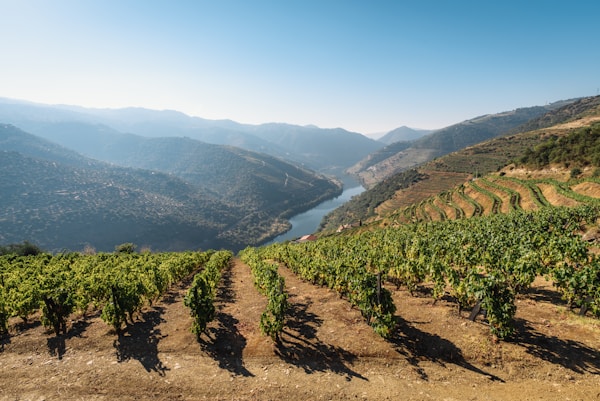 Douro Valley