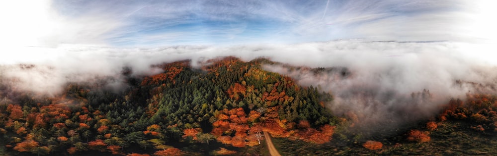 green and brown trees under white clouds and blue sky during daytime