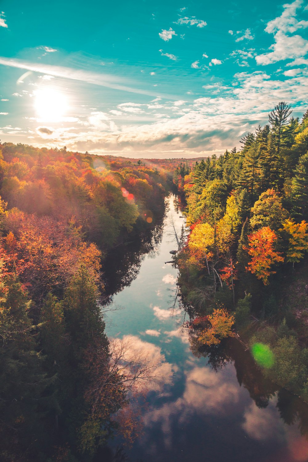 green and brown trees beside river under blue sky during daytime