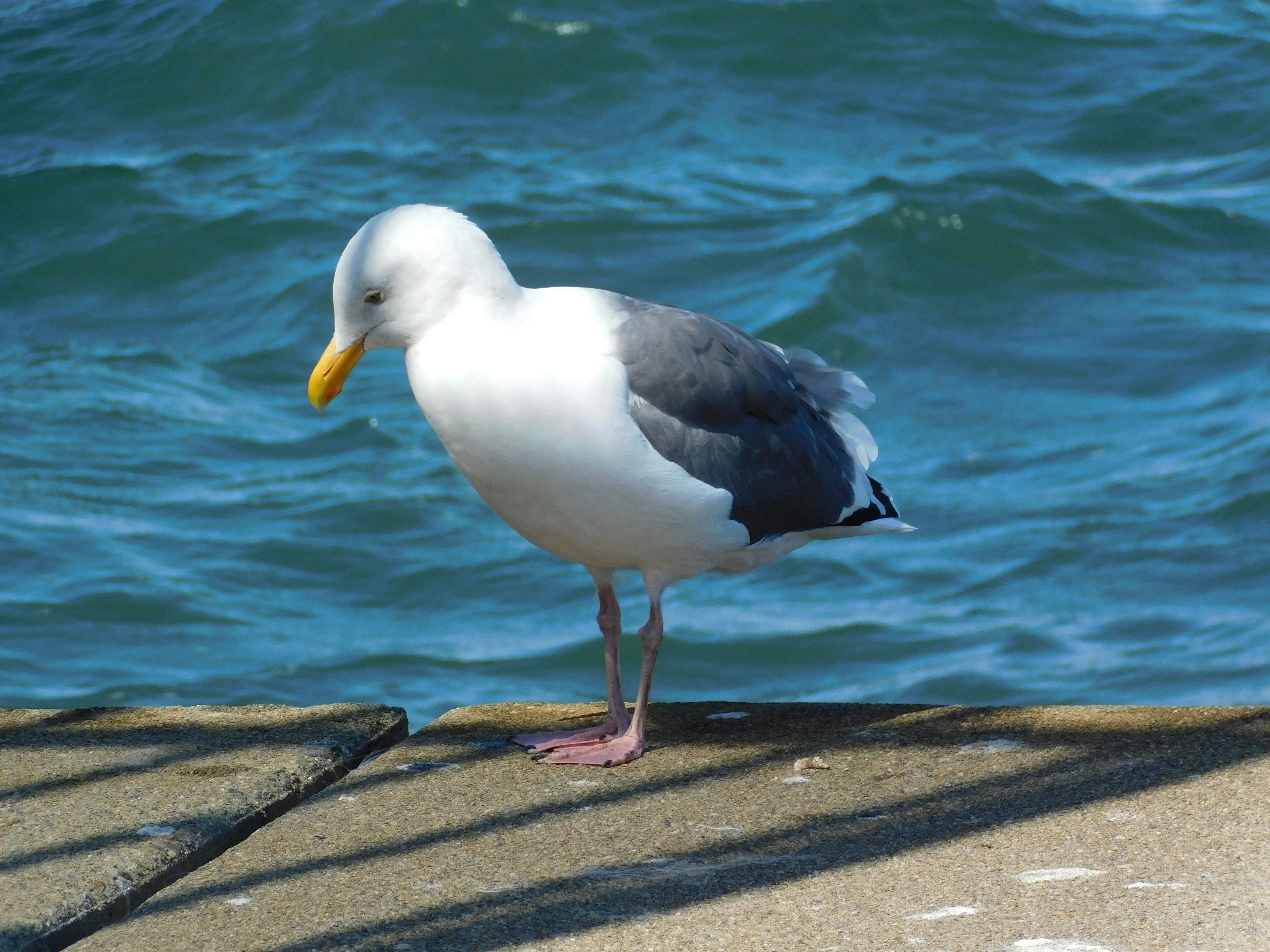 Photo by _ifmuc1001_