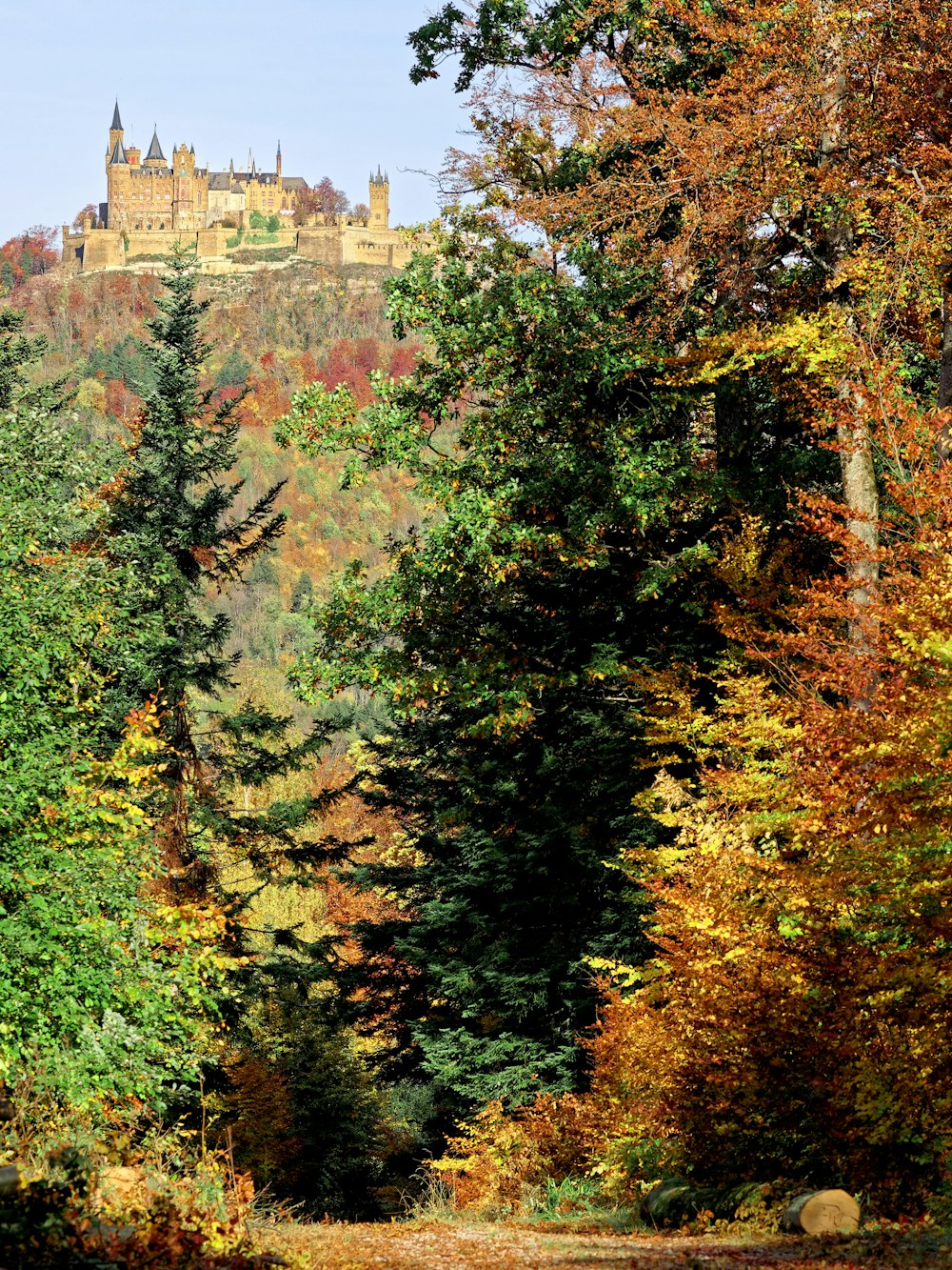 green and brown trees near brown concrete building during daytime