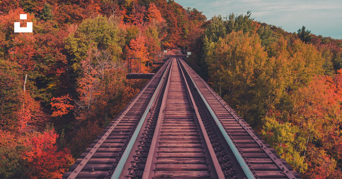 Tree By Train Train rail between trees during daytime photo – Free Marquette Image on ...