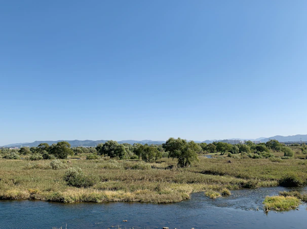 A serene Kashmiri farm landscape with lush green fields under a clear blue sky.