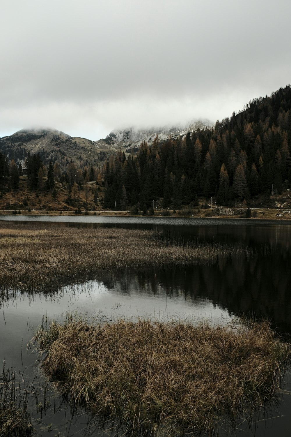 lake surrounded by trees and mountains during daytime