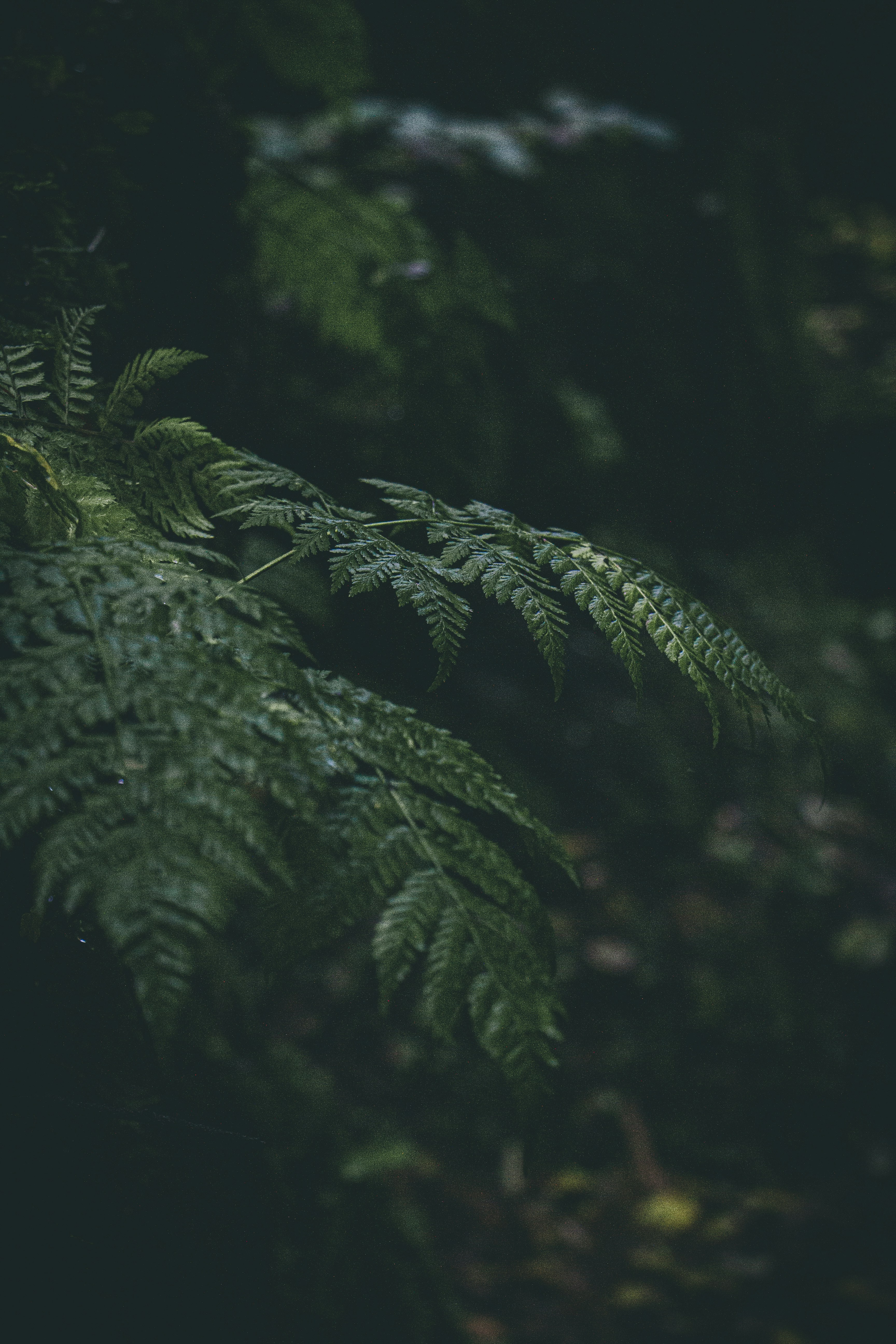 Photo by leandra_niederhauser