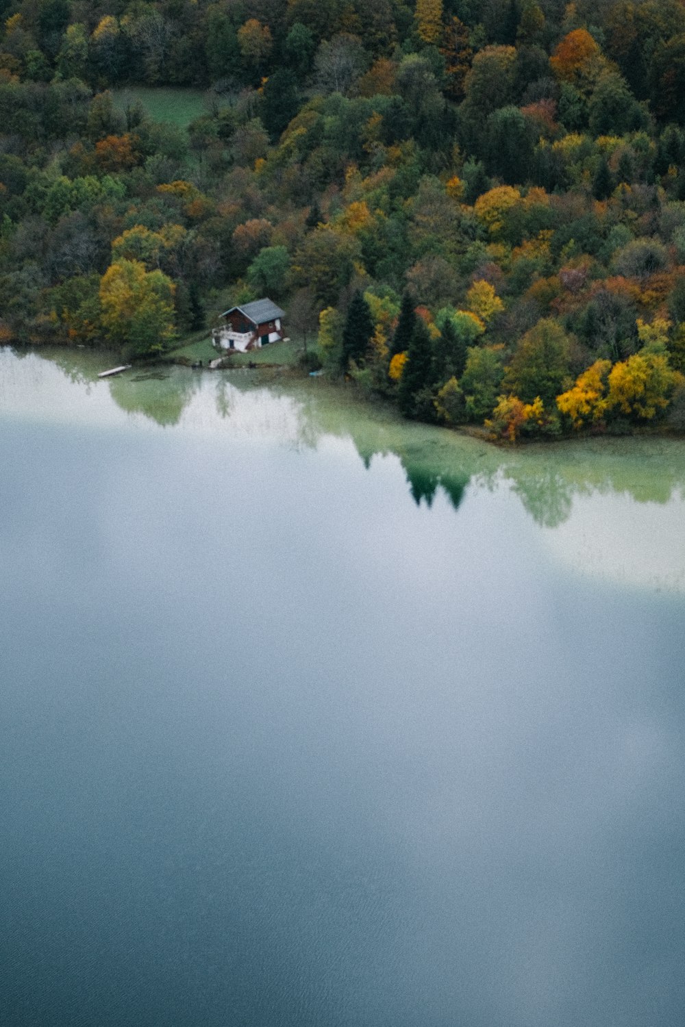 낮에는 녹색과 갈색 나무로 둘러싸인 호수 근처의 빨간색과 흰색 집