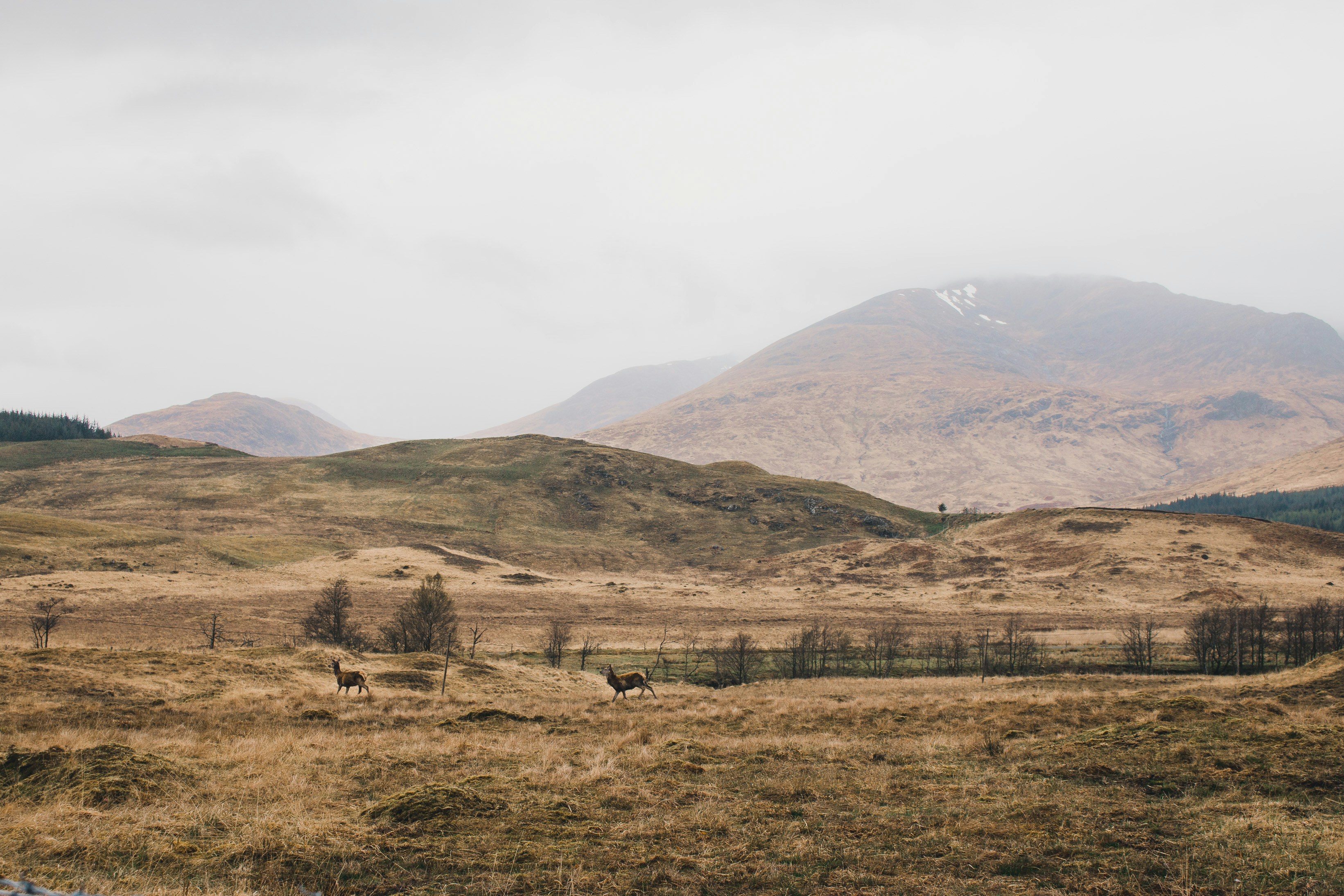 Photo by chrissychills