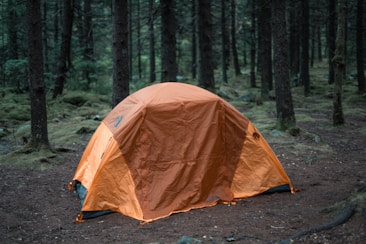 An orange camping tent is set up in a dense forest with tall trees and a ground covered in moss and twigs. The surroundings are calm and serene, suggesting a remote location ideal for camping and nature exploration.