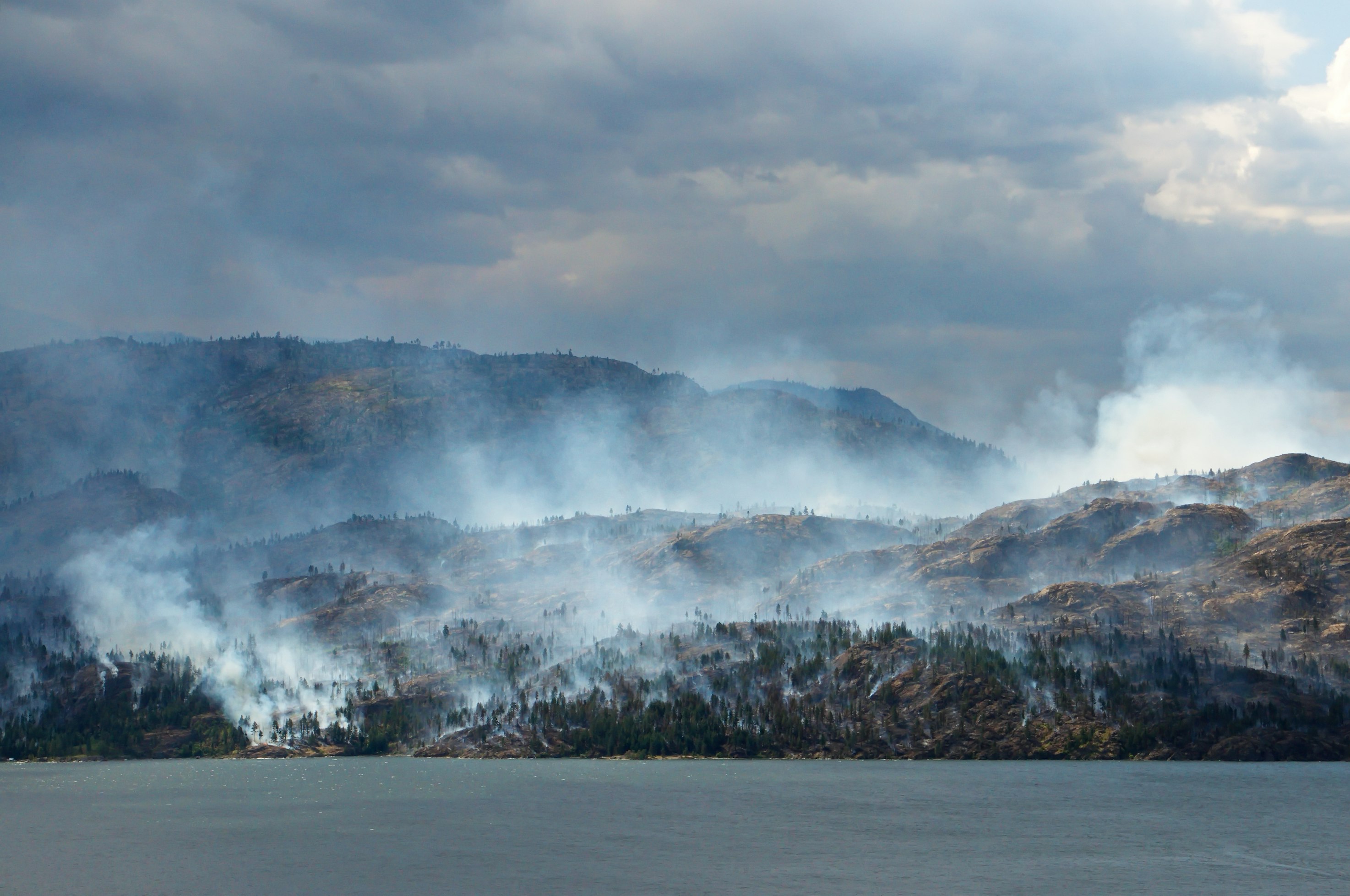 Firefighters Boost Use of Prescribed Burns in Bid to Prevent Massive Wildfires