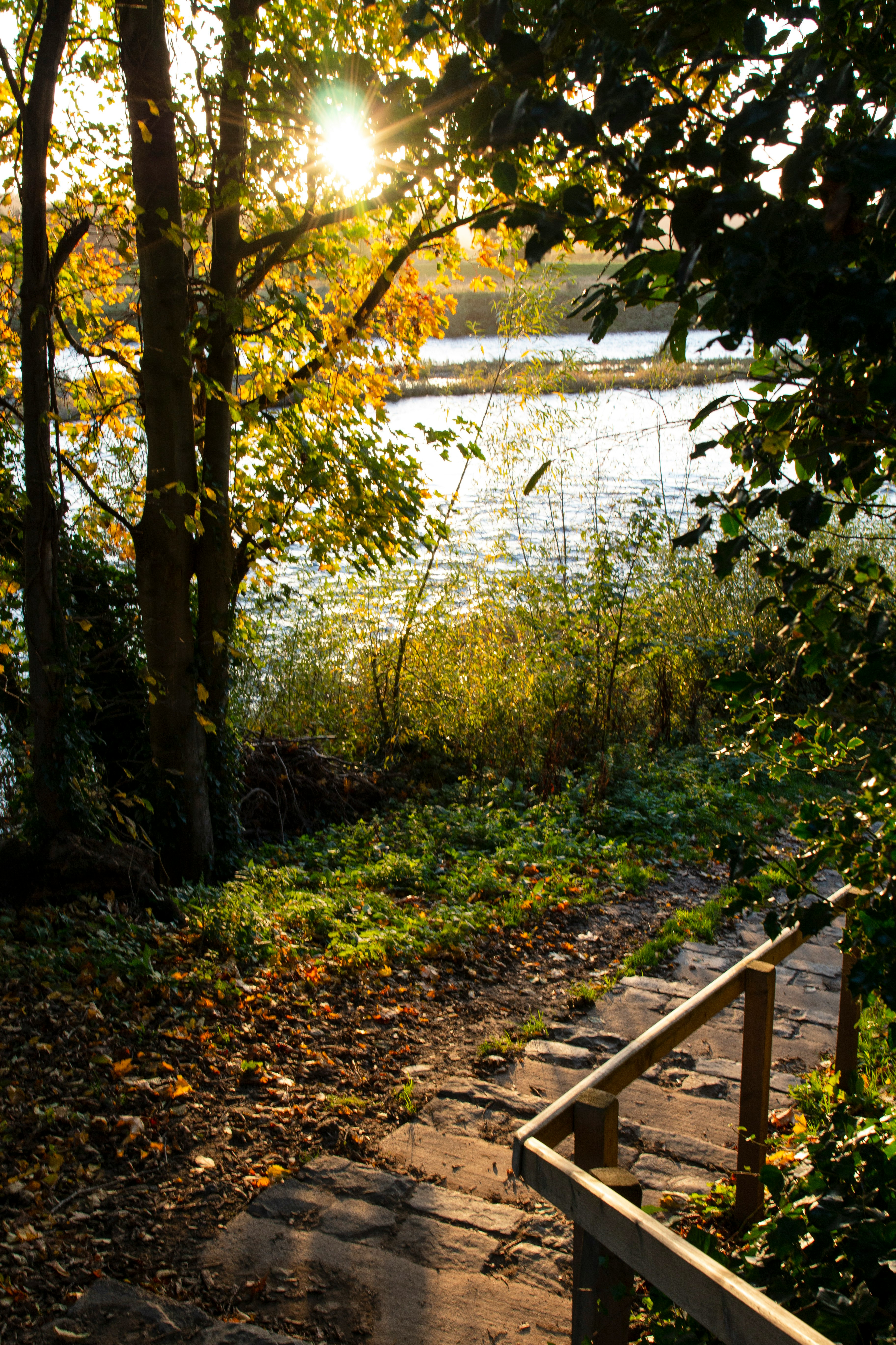 brown wooden bridge over river