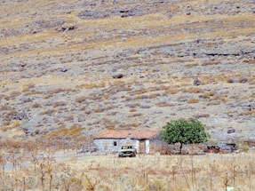 white and brown concrete house on brown field during daytime