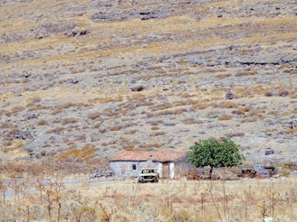 white and brown concrete house on brown field during daytime