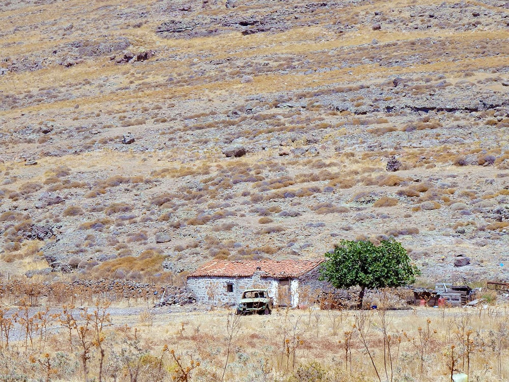 white and brown concrete house on brown field during daytime