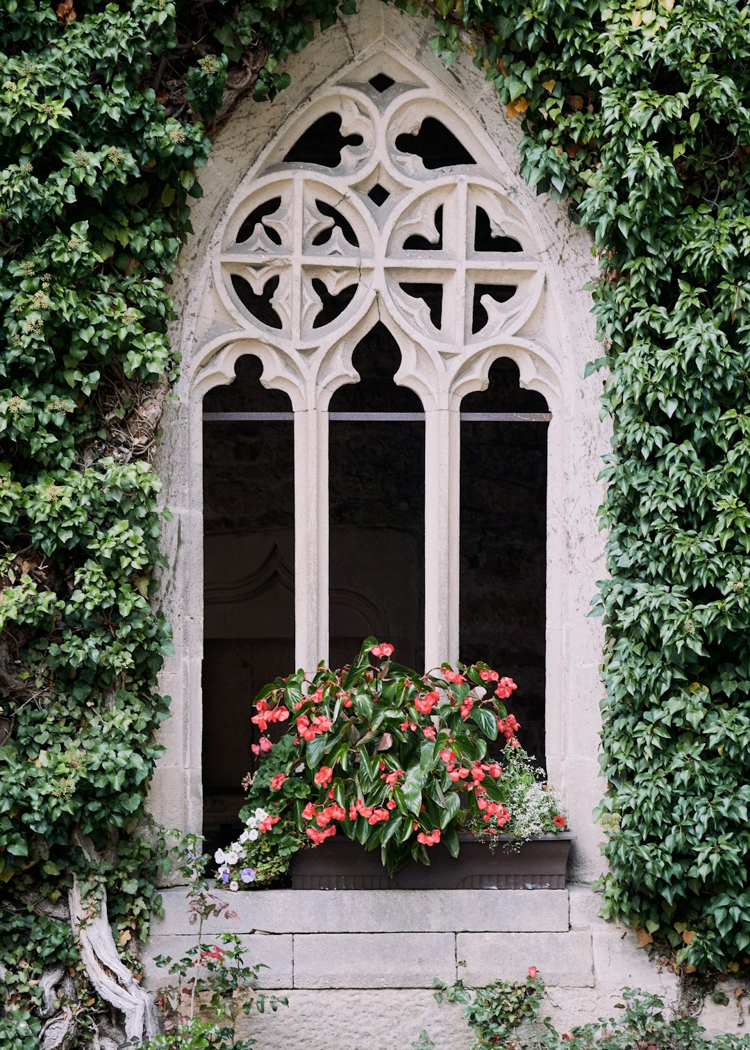 white concrete arch with green plants