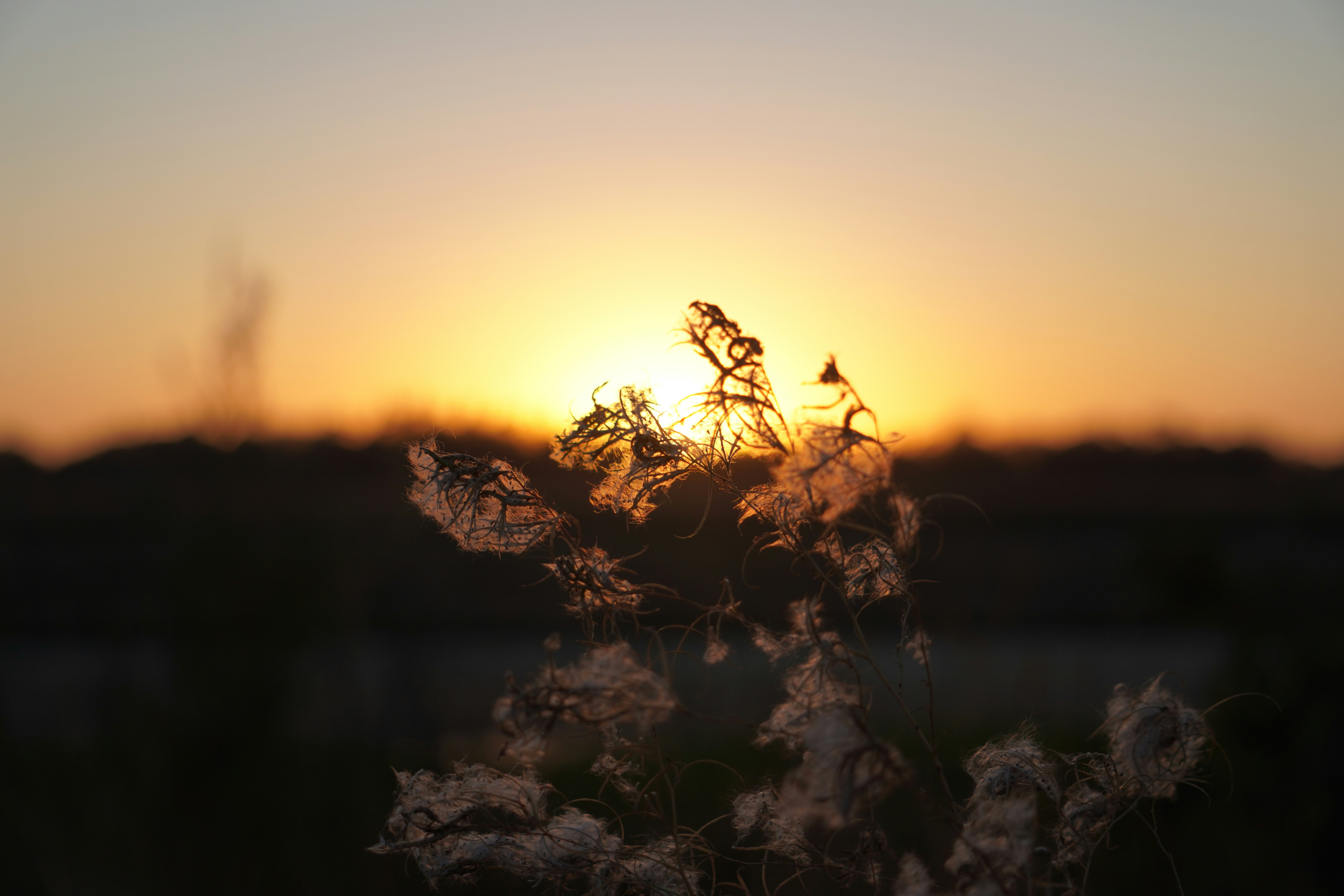 Photo by joeldurkee