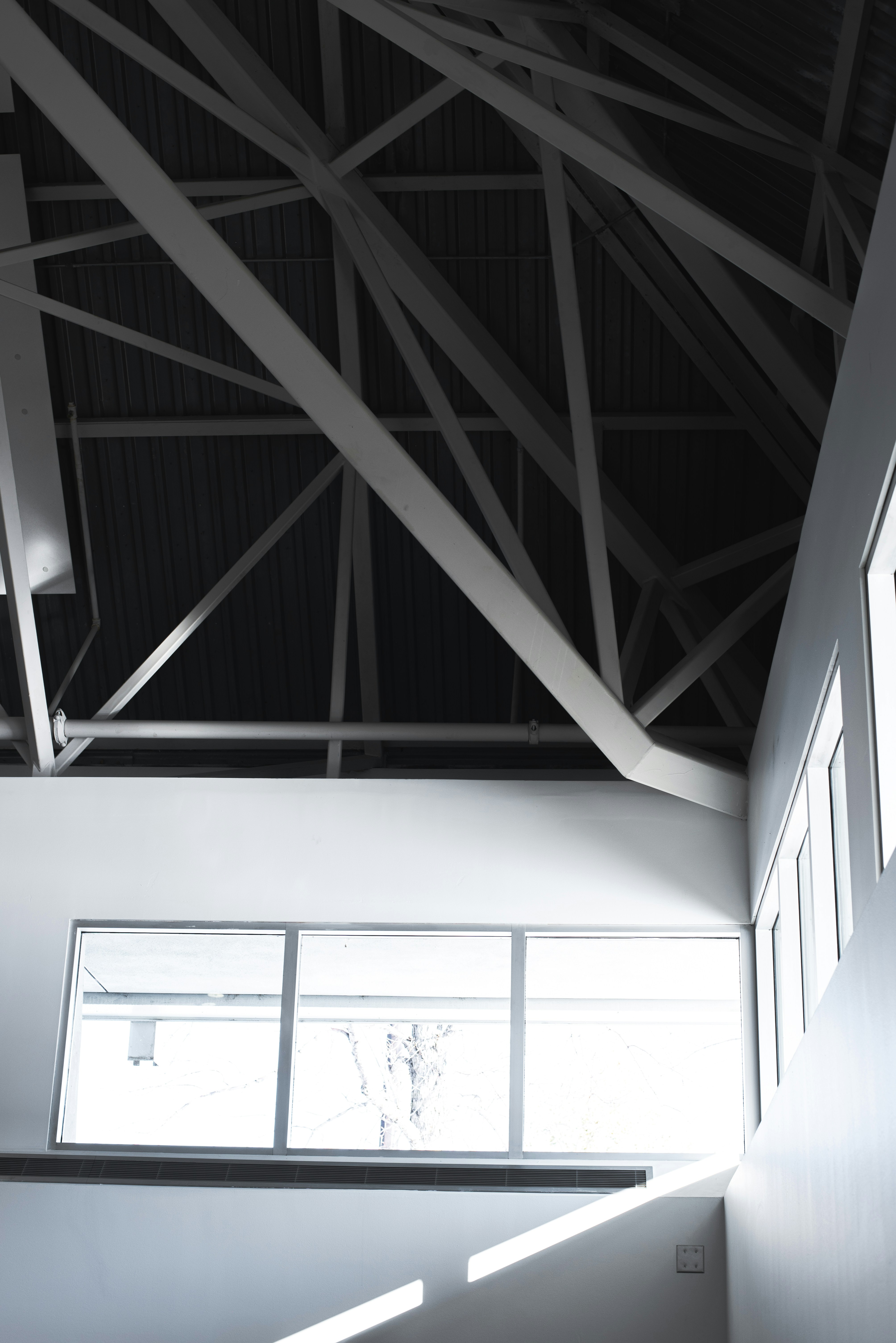 Photo by ryunosuke_kikuno