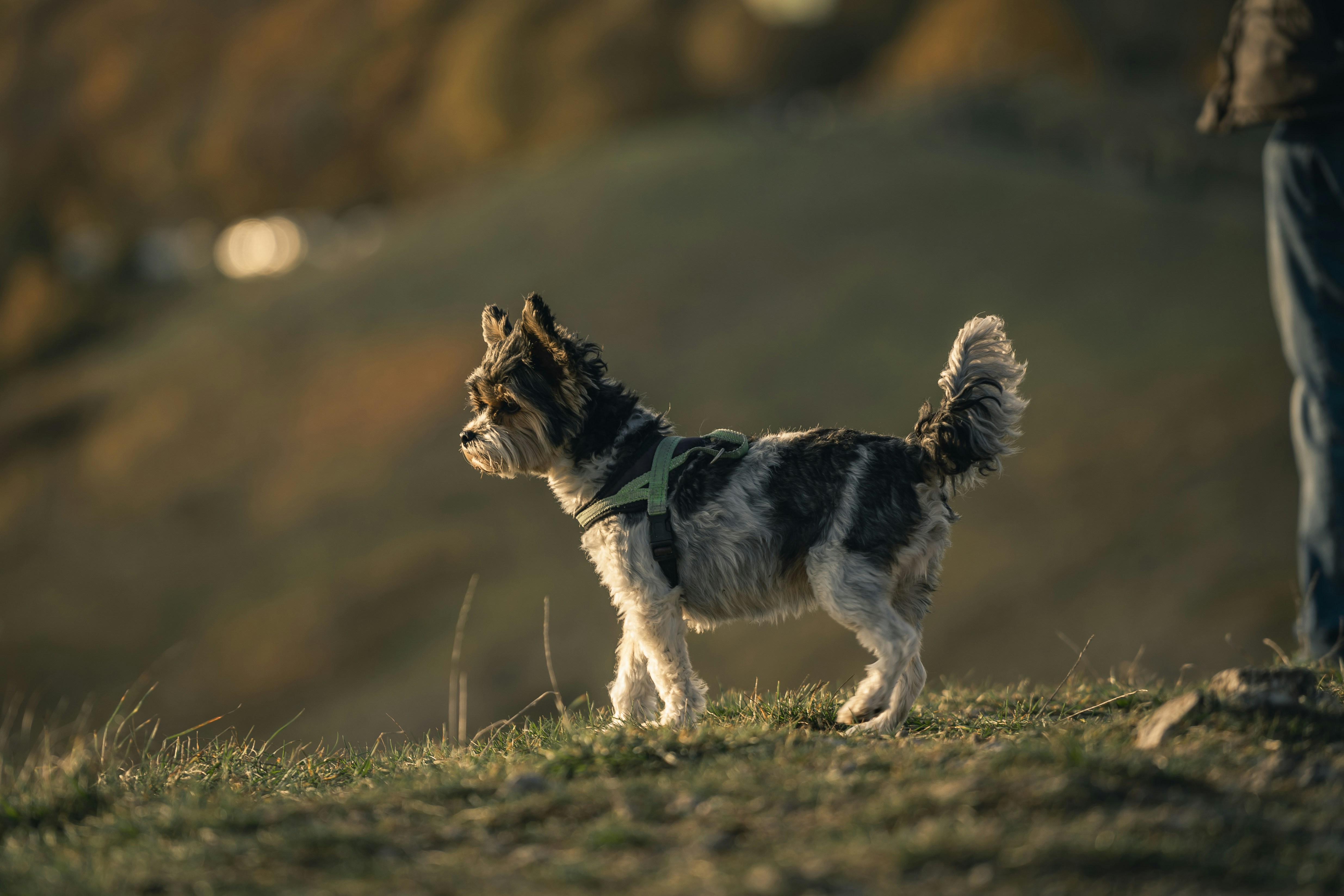 Photo by dominik_kempf