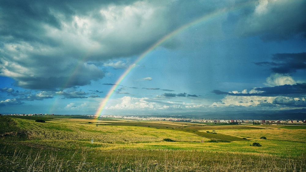 campo de grama verde sob o arco-íris e céu azul durante o dia