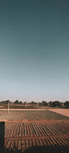 A vast open farm land with rows of crops and a distant water tank.