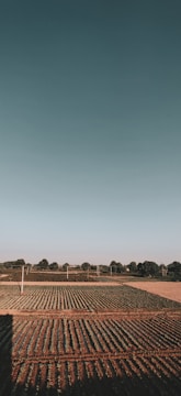 Wide shot of a large farm field with IoT devices scattered throughout.