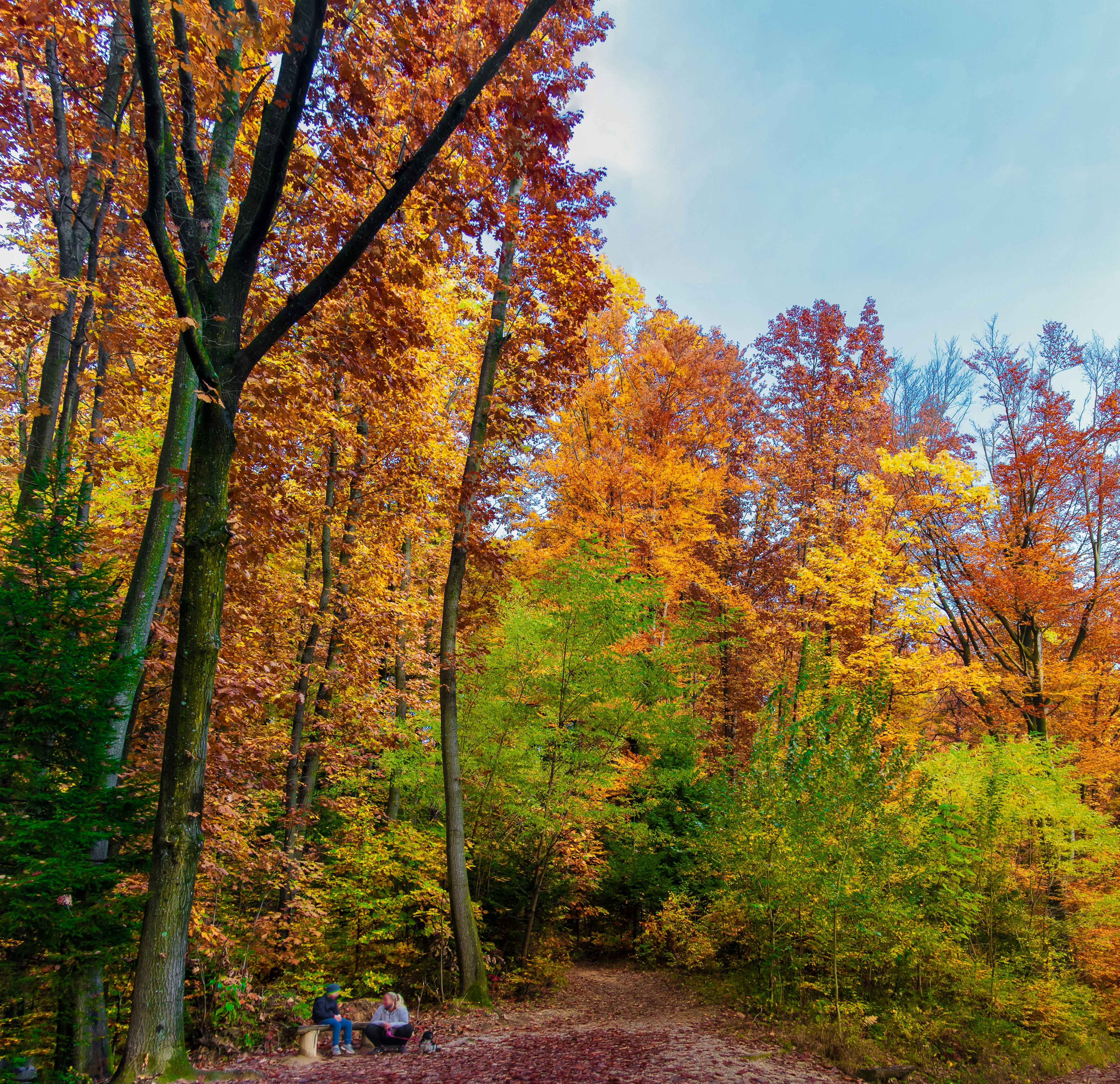 Photo by eugene_kuznetsov