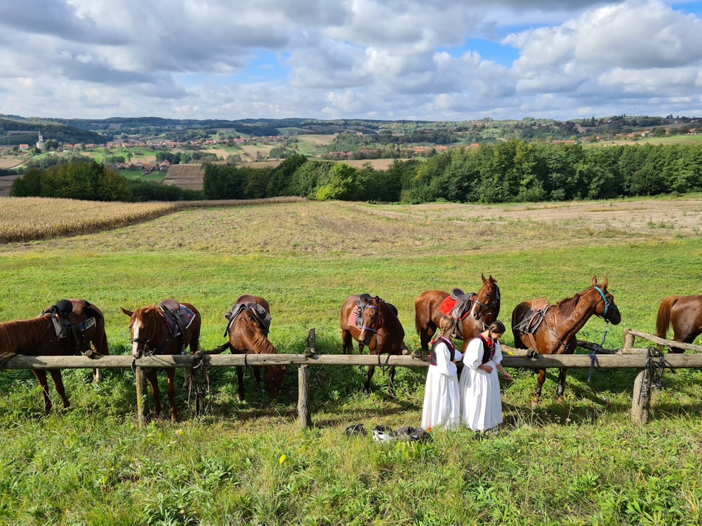 people riding horses on green grass field during daytime