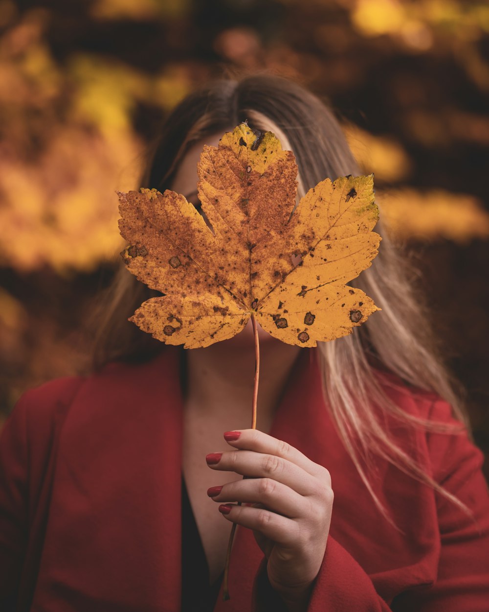 woman in red long sleeve shirt holding yellow maple leaf