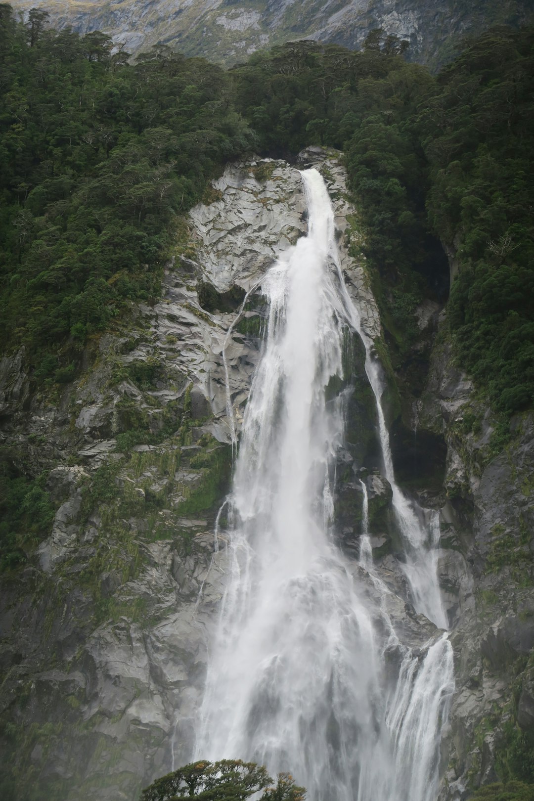 waterfalls in the middle of the forest