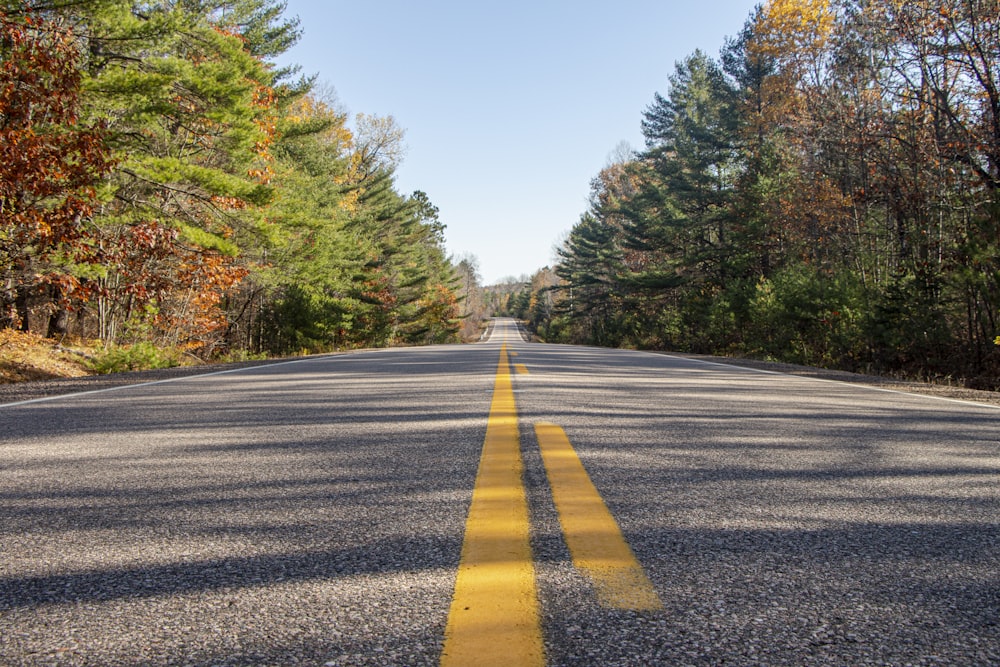 gray asphalt road between green trees during daytime