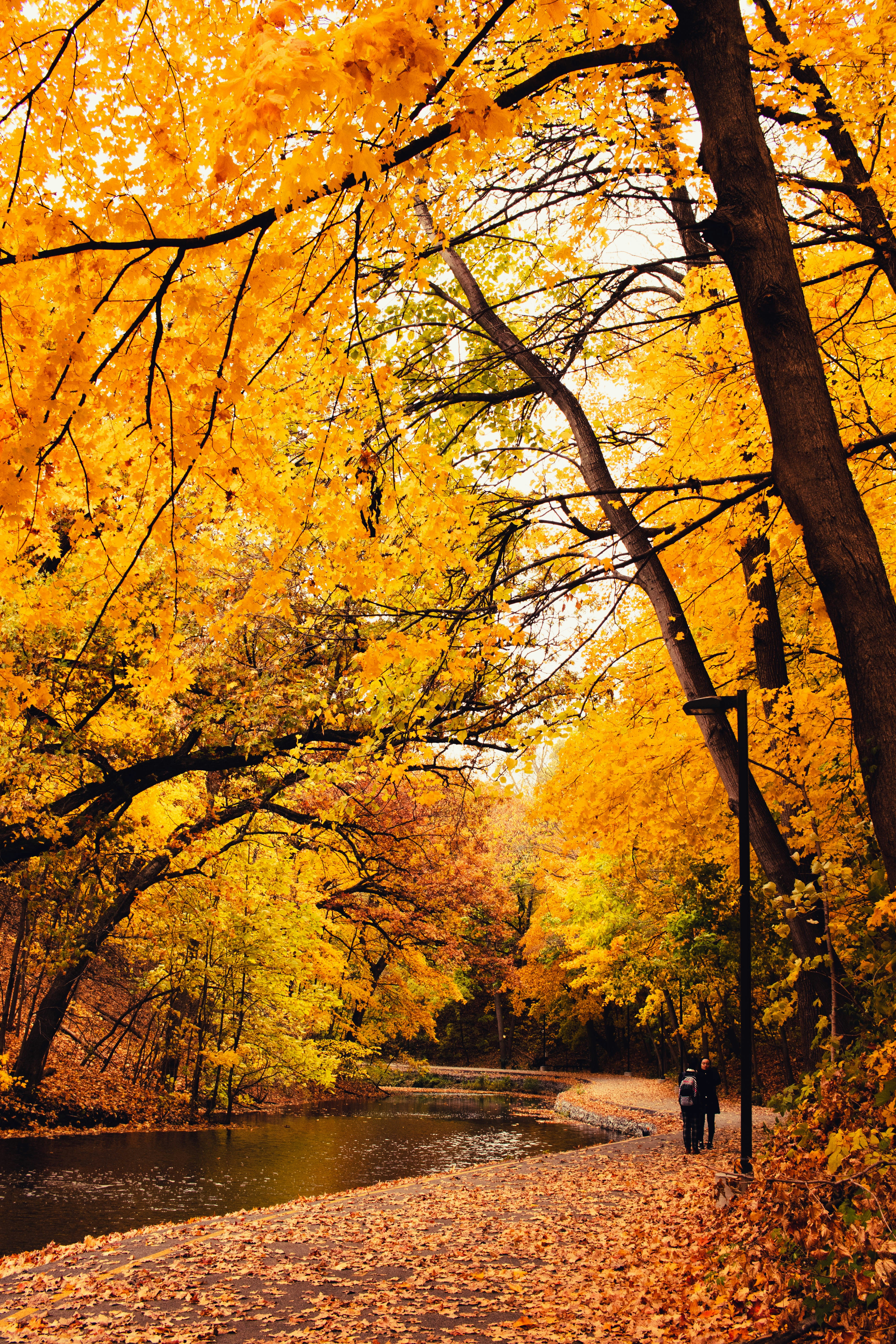 Photo by chrislevn07