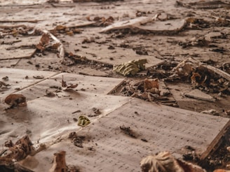Old, scattered sheets of music lie on a dusty floor, surrounded by dried leaves and debris, suggesting neglect and abandonment.