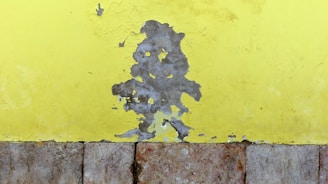 Exterior wall showcasing vibrant, weather-resistant paint under sunlight.