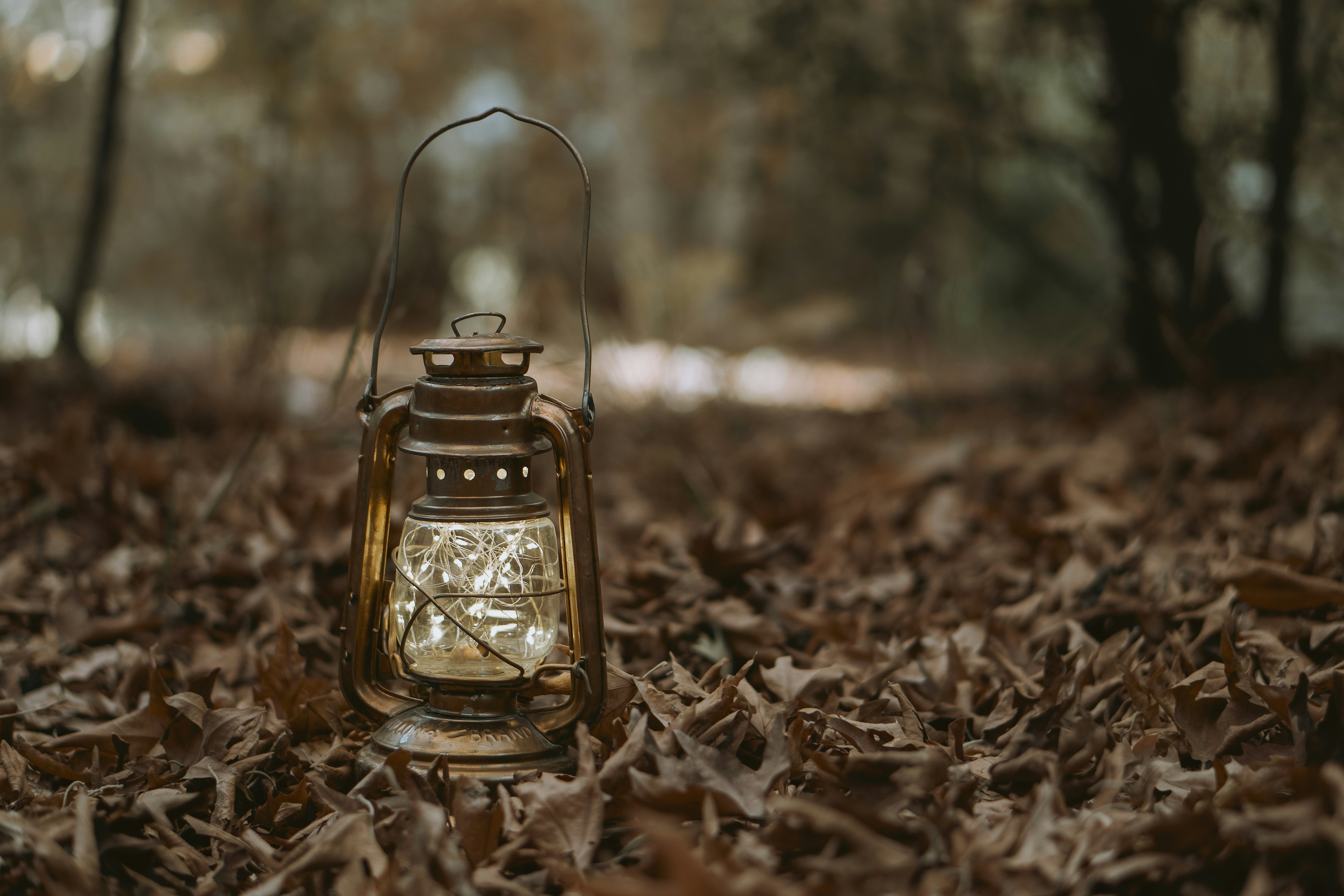 Download Clear Glass Jar On Dried Leaves Photo Free Wallpaper Image On Unsplash Yellowimages Mockups