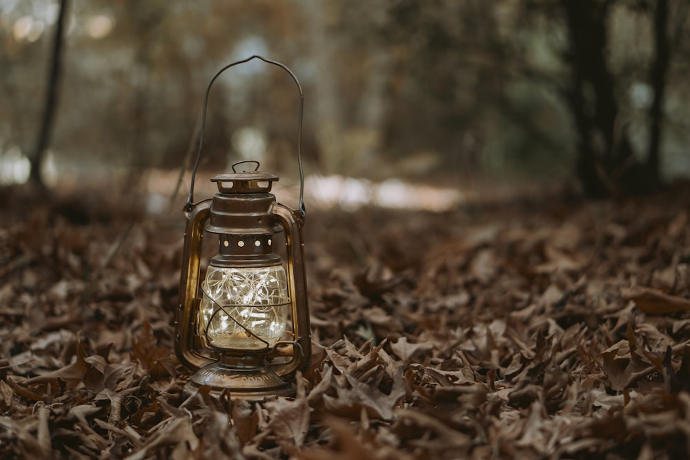 clear glass jar on dried leaves