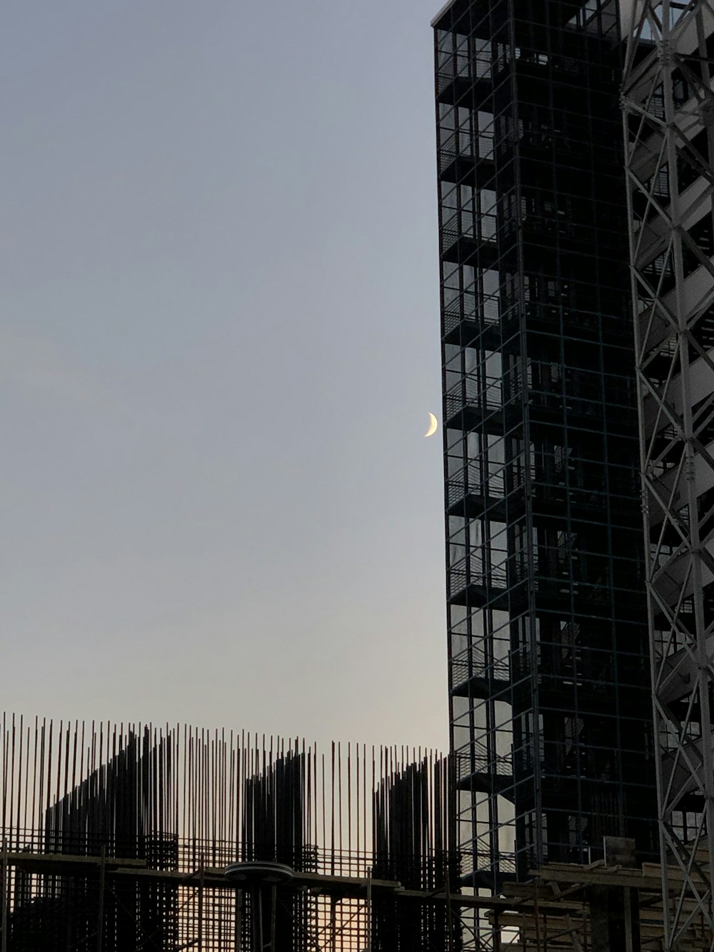 silhouette of people walking on bridge during daytime