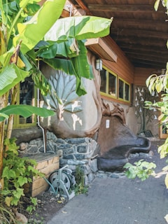 An outdoor area with lush green banana plants next to a rustic building made of stone and wood. The building features a unique, artistic design on the walls, including sculptural elements and earthy textures. There's a wooden storage box and a garden hose reel near the stone wall, and the ground is paved with gray bricks.