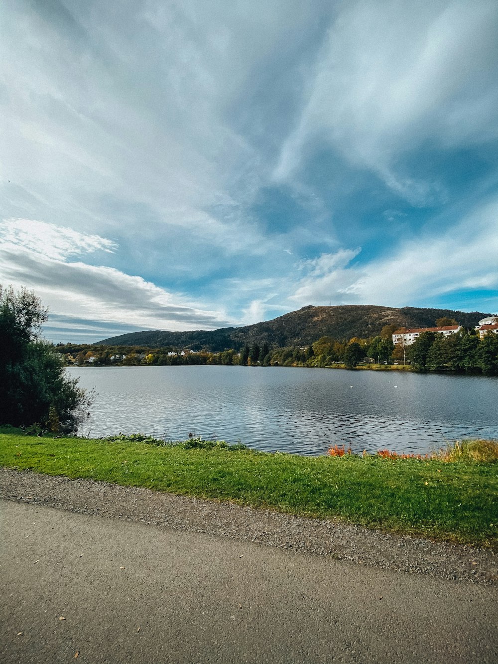 lake near green trees under blue sky during daytime